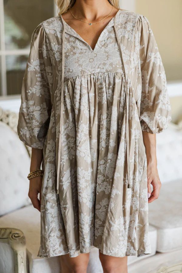NURSING COLLECTION: It’s All True Taupe Embroidered Dress